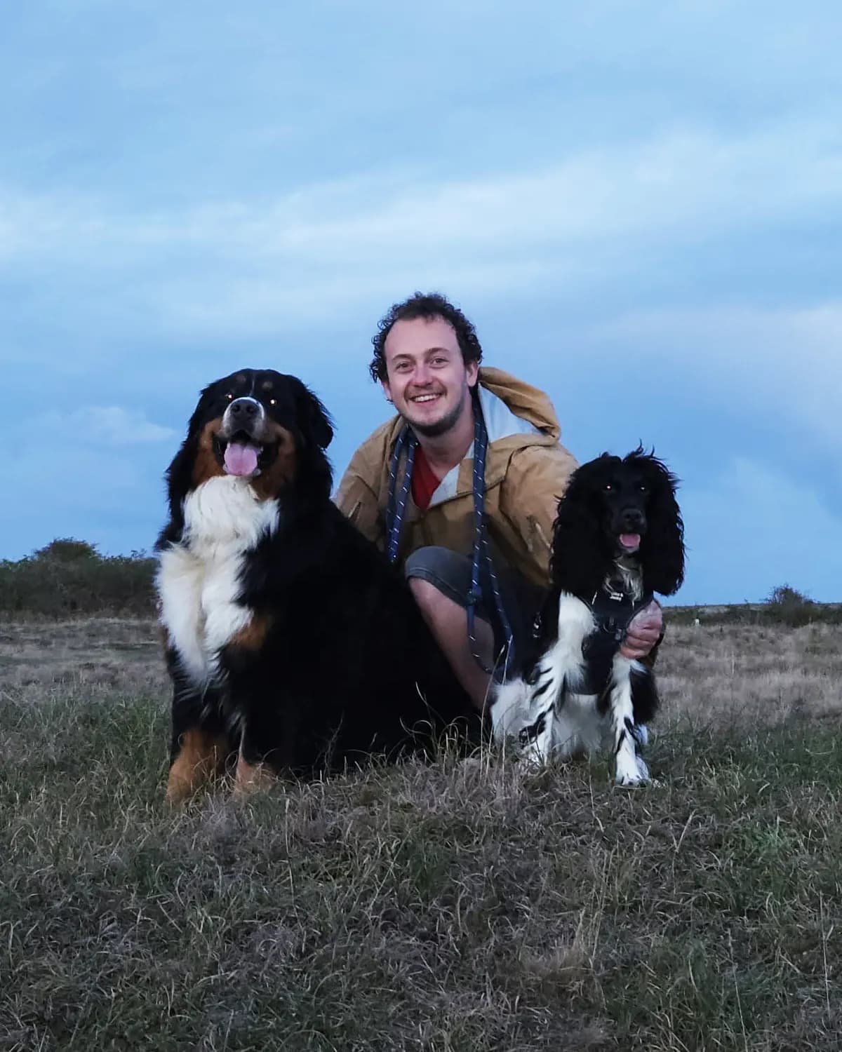 Jason crouching in the dunes with two dogs beside him, a Bernese mountain dog and cocker spaniel Coco